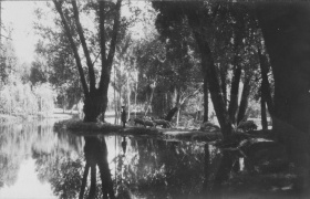 aquila pastore con gregge al fiume