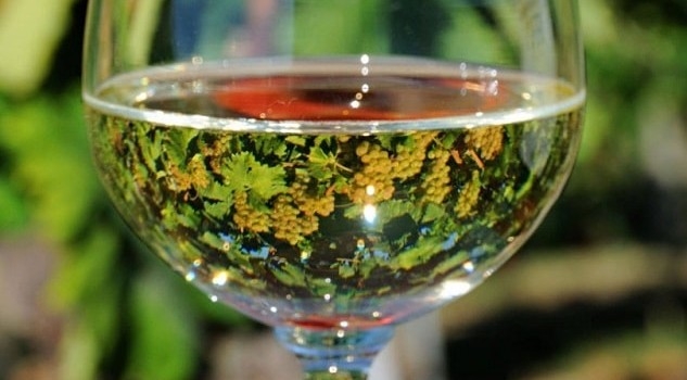 Farnese-Vini